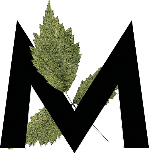 Letter M with leaf decoration