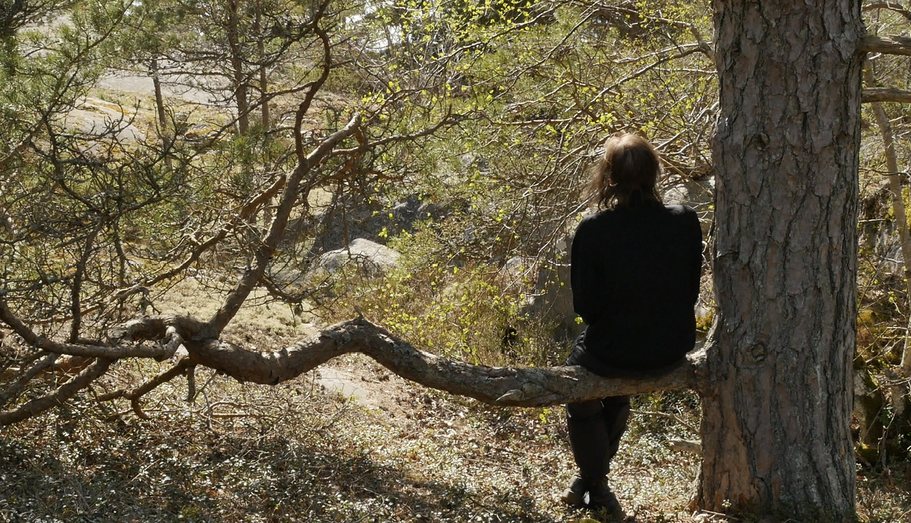 A human being dressed in black is sitting with her back to the viewer on a low stretching branch of a pine tree in a forest