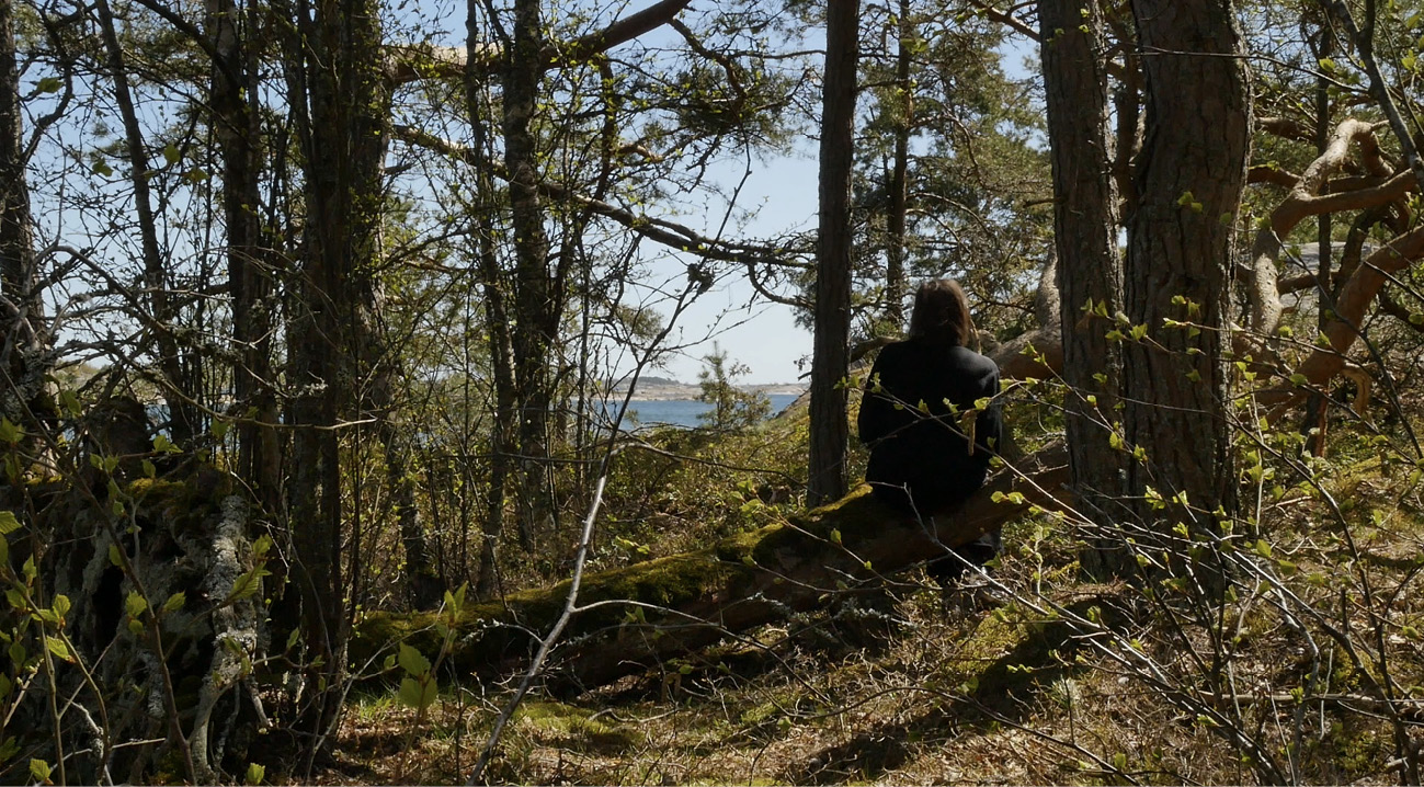 A human being dressed in black is sitting with her back to the viewer on a fallen trunk of a pine tree on a wooded cliff above the sea.