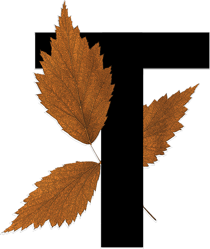 capital letter T with leaf decoration