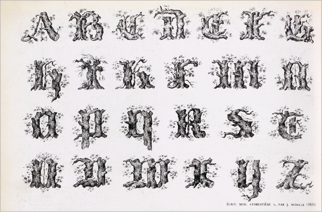 Alphabet, the letters of which are shaped by tree trunks and branches, drawn by J. Midolle in 1835. Original French title: écrit. mod. “Forestière”