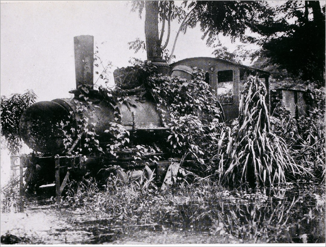 Black and white photograph showing a train locomotive overgrown with plants and tall trees in the background.
