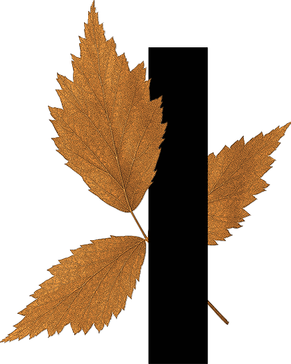 capital letter I with leaf decoration
