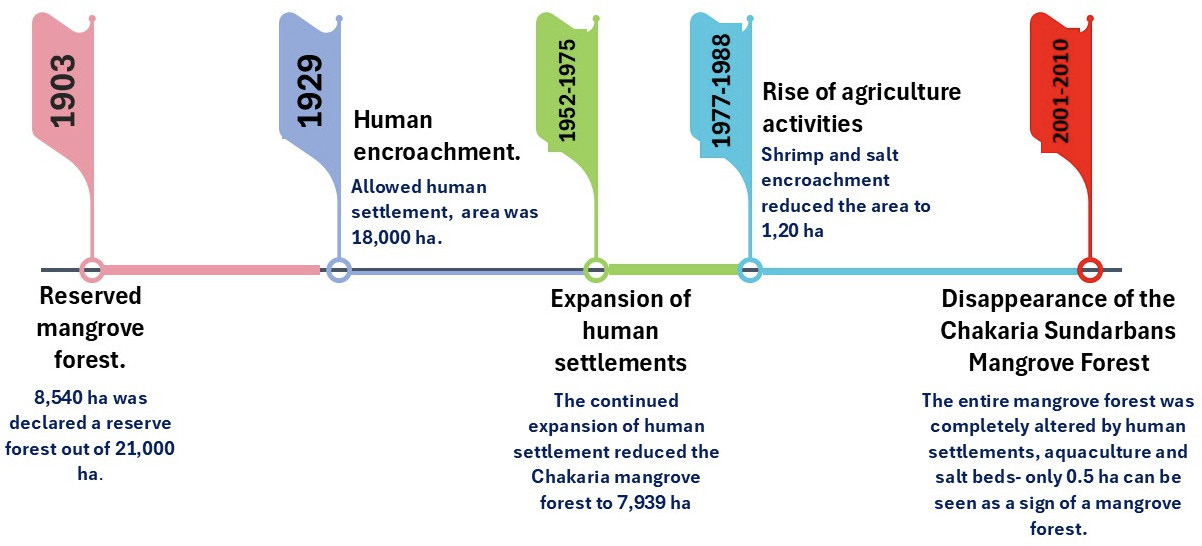 Time scale diagram depicting the decline of the Chakaria Sundarbans Mangrove Forest from 1903 to 2010