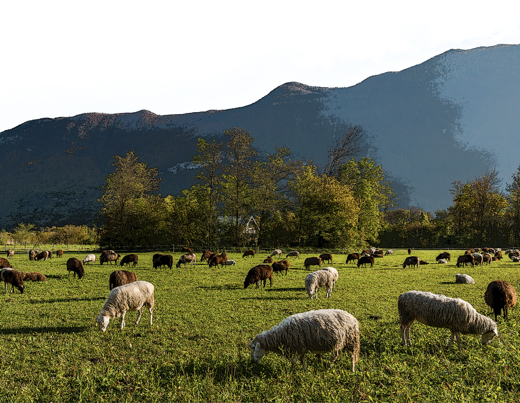 decorative image with a mountain scenery with a group of sheep