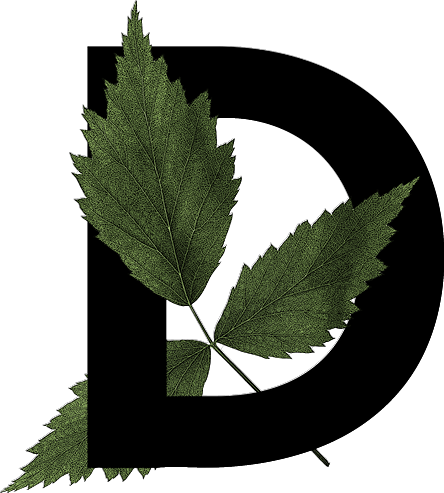 capital letter D with leaf decoration