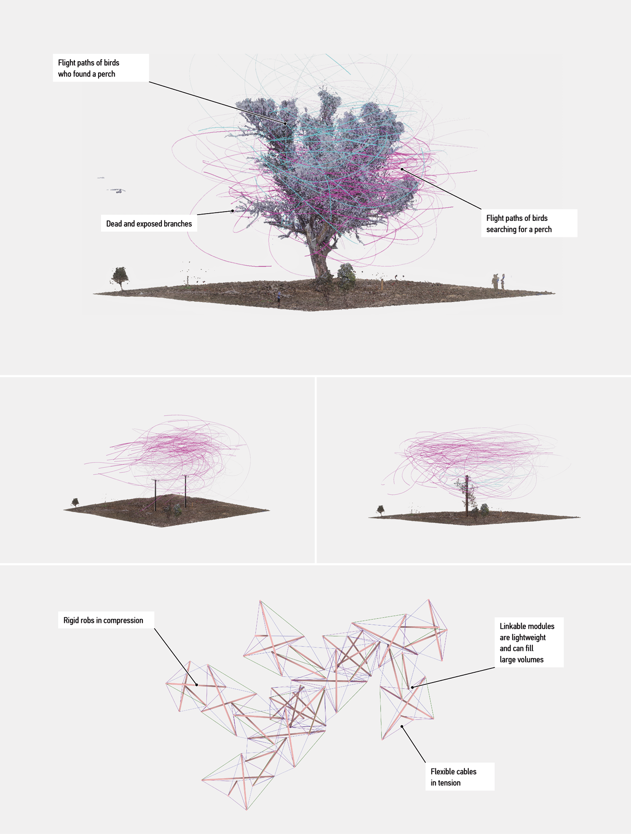 diagrams representing perch sites and bird flight paths