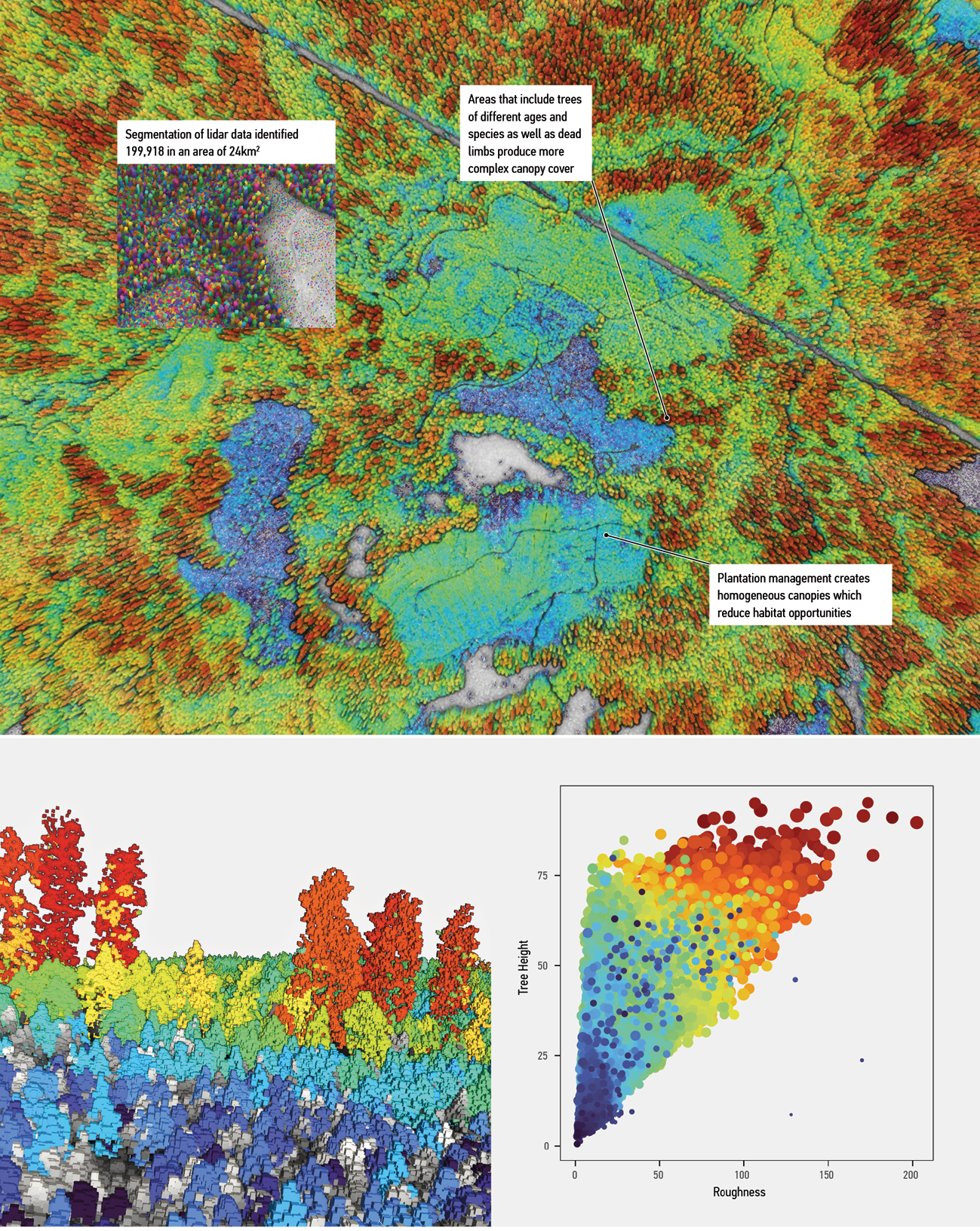 Coloured diagrams representing complexity of forests