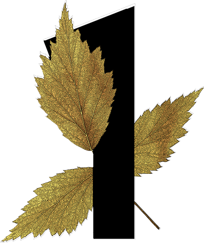 number 1 with leaf decoration