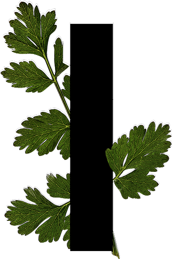 capital letter I with leaf decoration