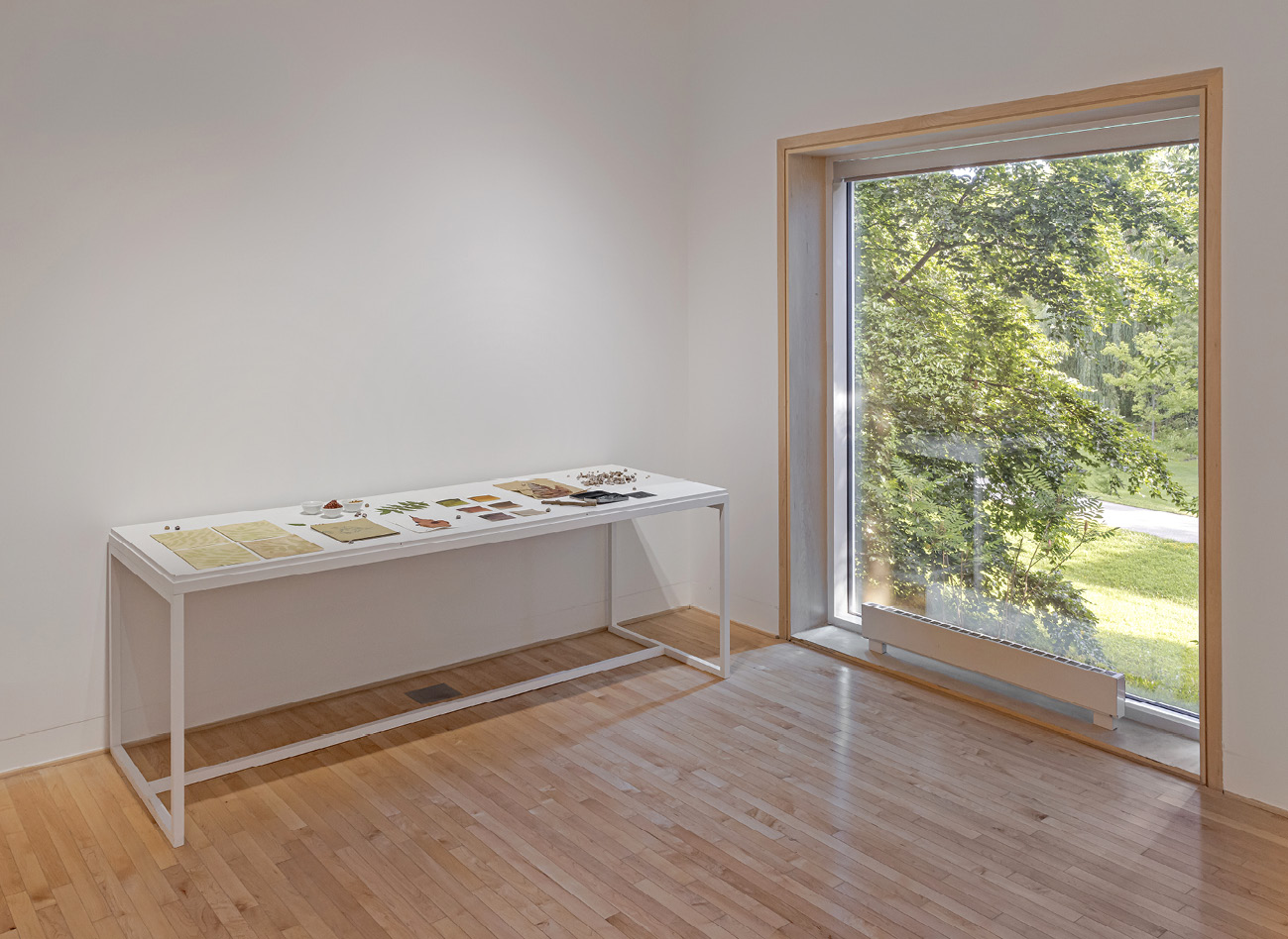 A view through a window in an art gallery shows outdoor sumac saplings; a display case of natural materials stands to the left