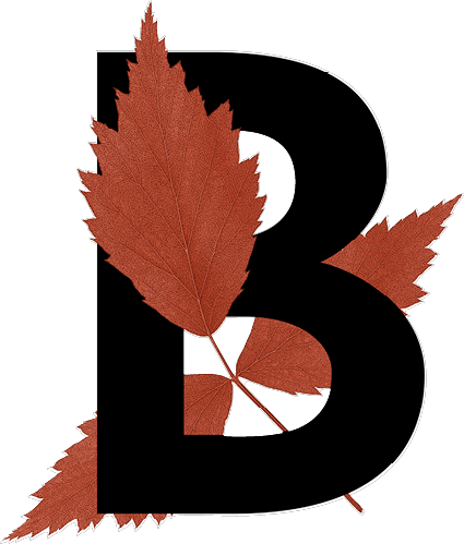 capital letter B with leaf decoration