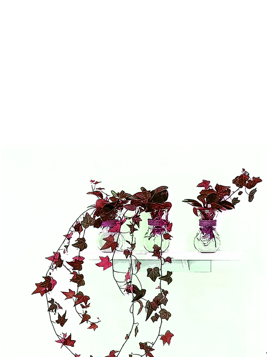decorative image with a plant