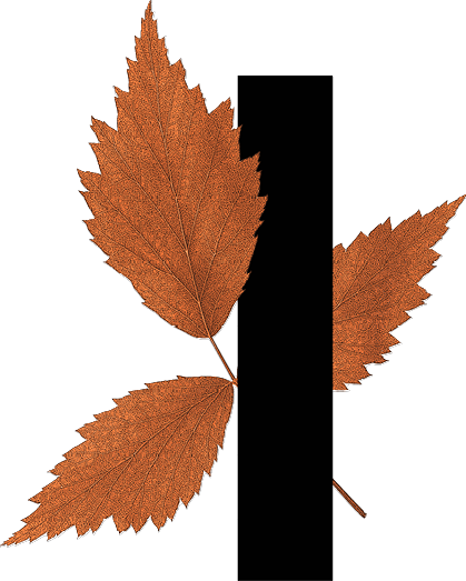 A leaf is attached to a black and white image, creating a unique visual effect.

Contenuto generato da AI
