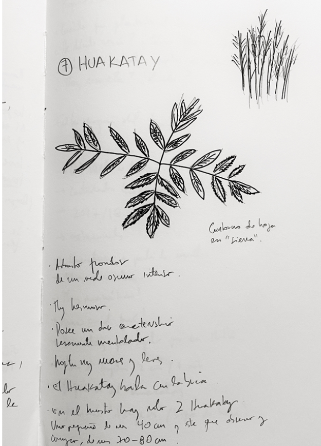 A book with a drawing of a leaf and the word Hukatay written on the top.

Descrizione generata da AI