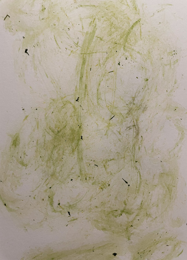 A green substance on a white paper.

Descrizione generata da AI