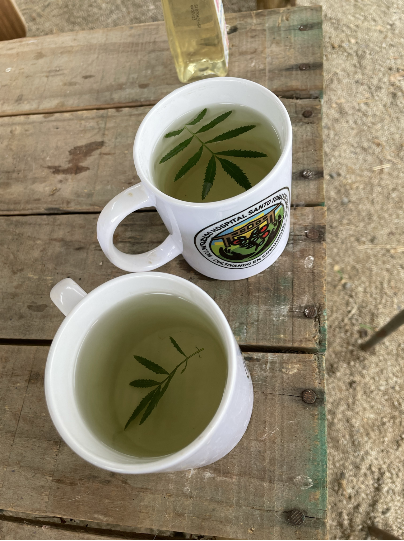 Here you can see a cup of huacatay tea, which we later shared with Silvia.
