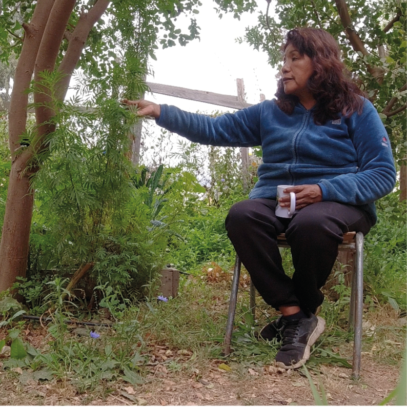 A woman sitting on a chair in a garden.

Descrizione generata da AI