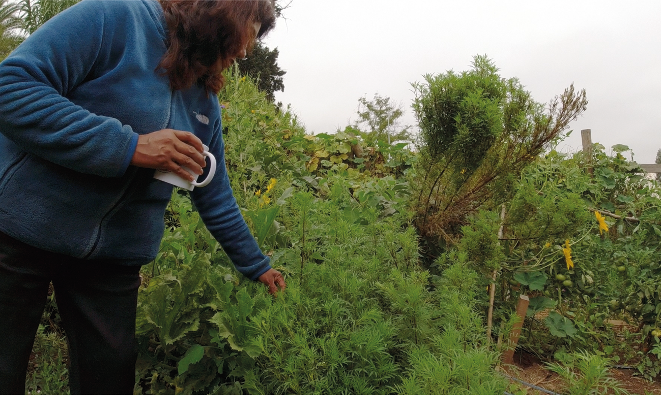 A person is holding a cup in a garden.

Descrizione generata da AI