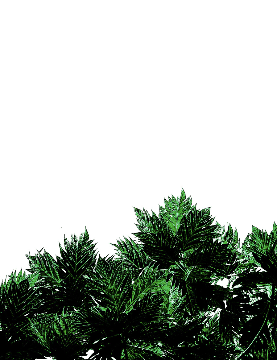 decorative image with a plant