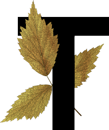 capital letter T with leaf decoration