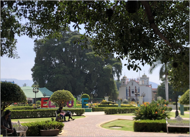 photo of Tule Tree and surrounding square