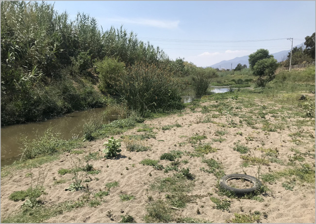 photo of dried river and rubbish