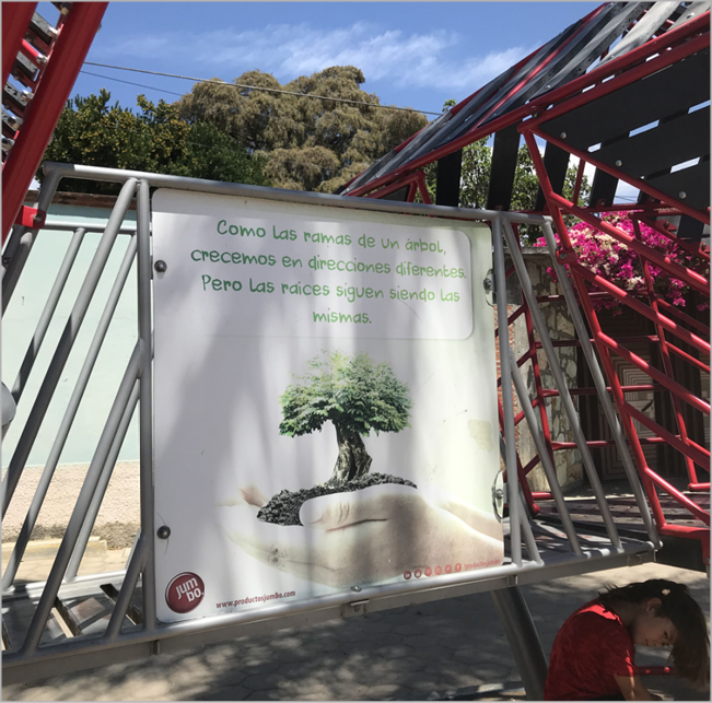 photo of poster in the Tule tree plaza