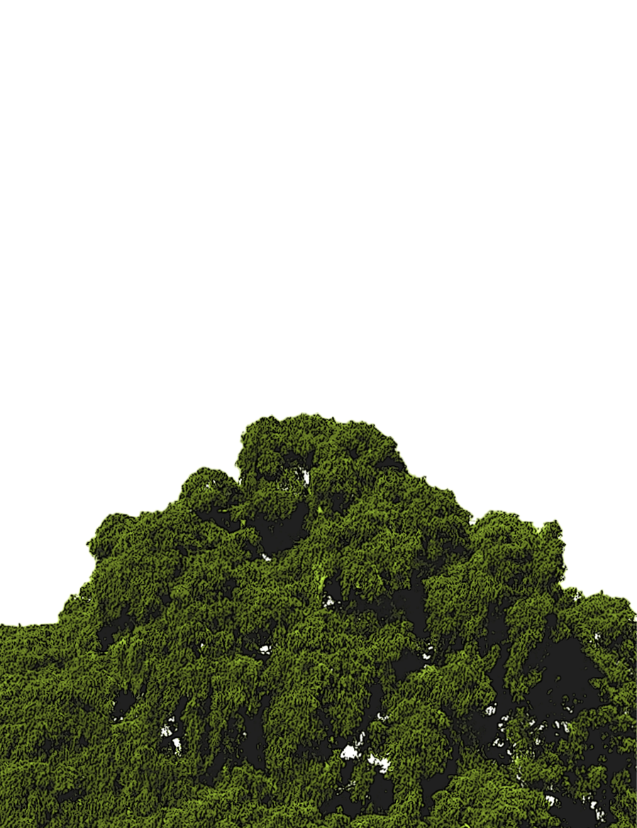decorative image with a plant