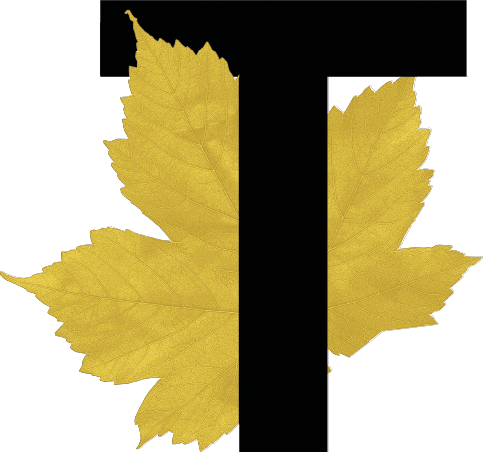 A leaf is shown in the shape of the letter T.

Contenuto generato da AI