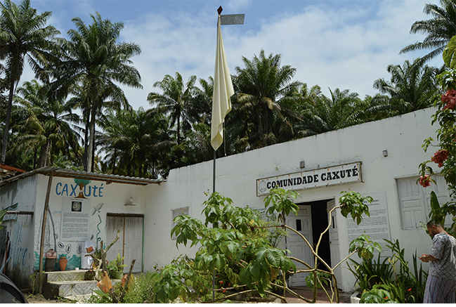 An Afro-Brazilian man walks through the compound of the Caxuté Afro-Brazilian Religious Community with white-painted walls beset by explanatory murals, flowers and ornamental shrubs and surrounded by an emergent grove of African oil palms on Bahia’s Dendê Coast.