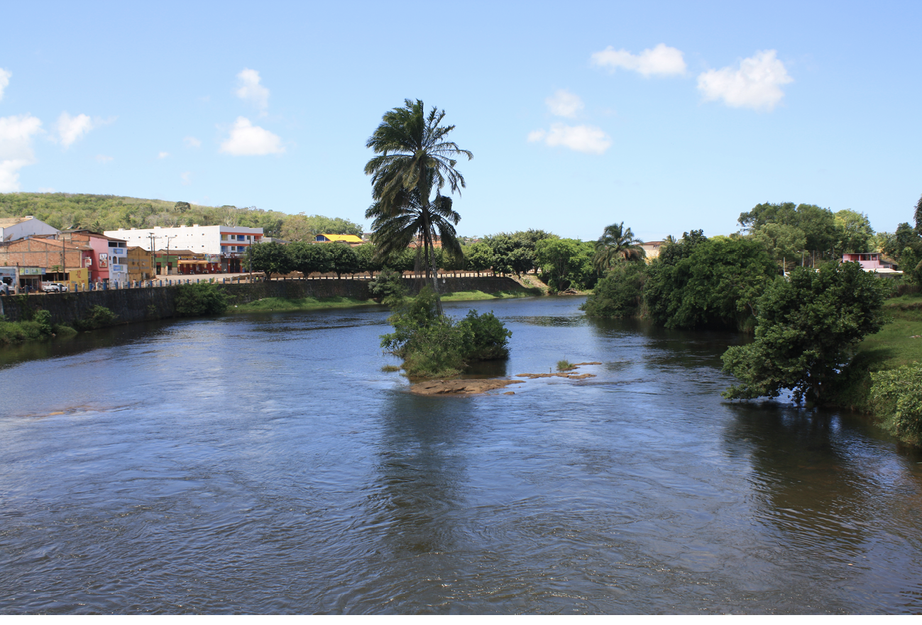 A tiny fluvial island anchored by two emergent African oil palms, some nondescript shrubbery, and a small amount of rocky soil sits in the middle of the Una River with the city of the same name in the background, coastal Bahia, just south of the Dendê Coast.