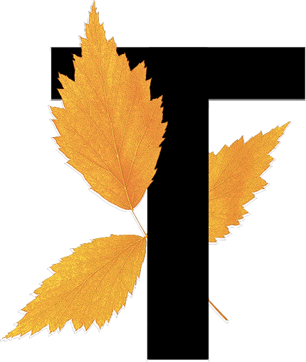capital letter T with leaf decoration