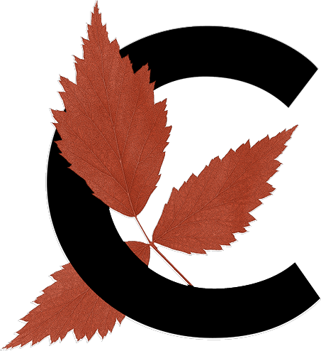 A large black letter C is overlaid with three red autumn leaves arranged in a fan shape.

Descrizione generata da AI