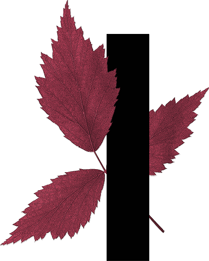 capital letter I with leaf decoration