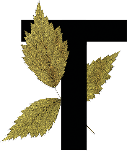 capital letter T with leaf decoration