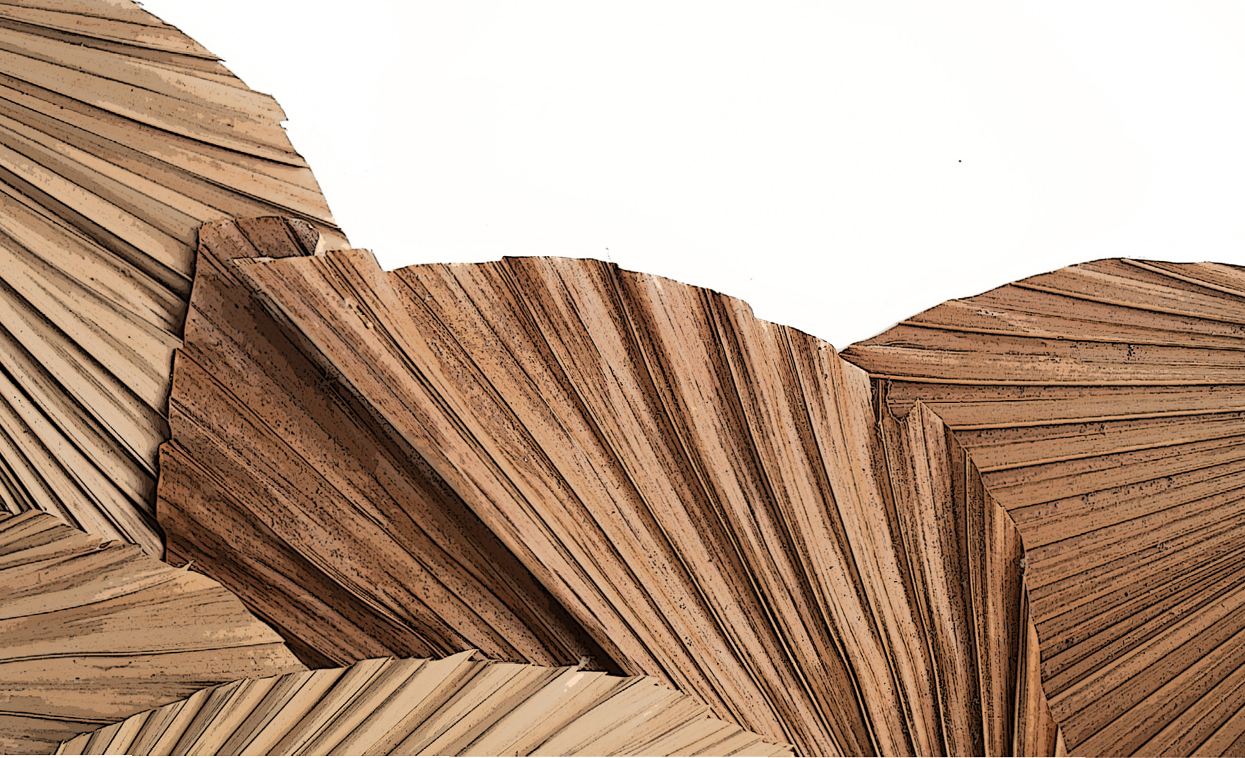 decorative image with a Pinus sylvestris