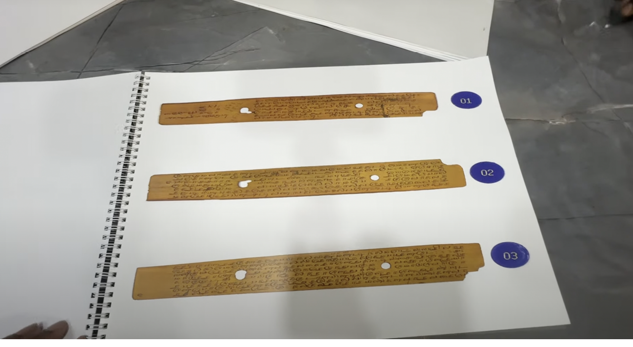 A spiral-bound catalogue page displays scanned images of three long, narrow palm-leaf manuscript strips arranged vertically against a white background. Each yellow-brown dried palm leaf has subtle variations in text and wear. All leaflets are densely inscribed with flowing Tamil script and punctuated by two circular binding holes at a distance of about a third of the leaf. Blue labels numbered 01, 02 and 03 mark the three artefacts