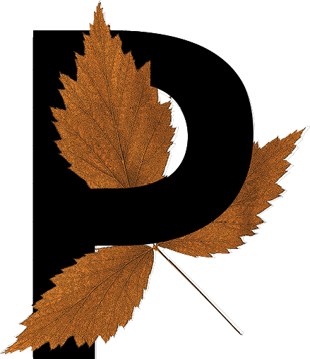 A large stylized letter D with jagged edges resembling maple leaves attached to it.

Descrizione generata da AI