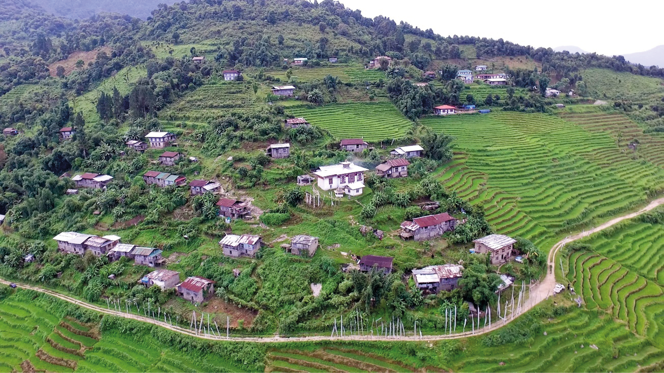 Bongo village with its temple surrounded by households and paddy fields in the south and forests in the north.